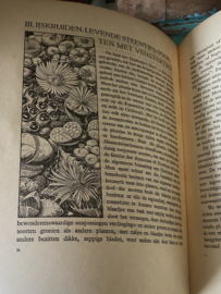 Verkadeboek “Vetplanten”