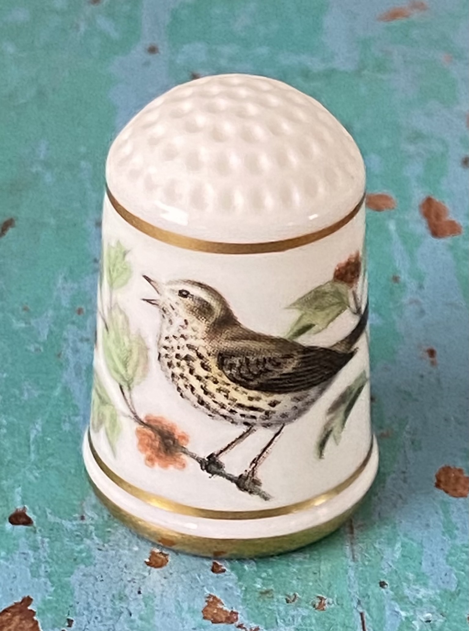 Franklin’s Gardenbirds vingerhoed