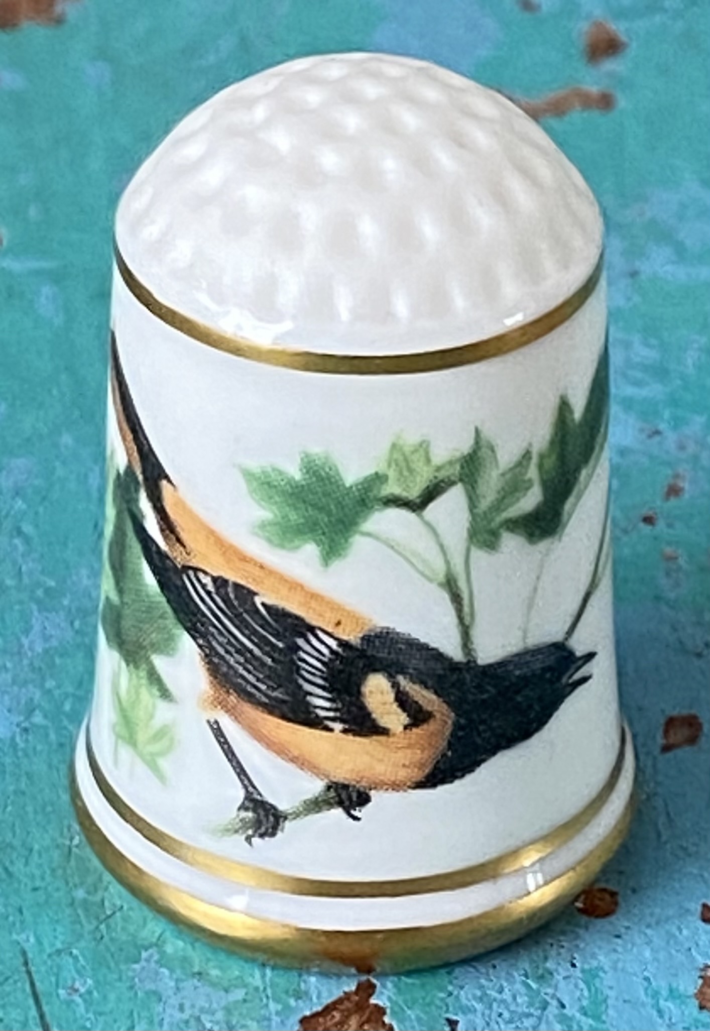 Franklin’s Gardenbirds vingerhoed