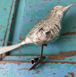 Vogel