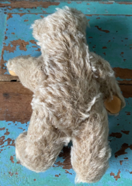 Steiff Zotty teddybeer