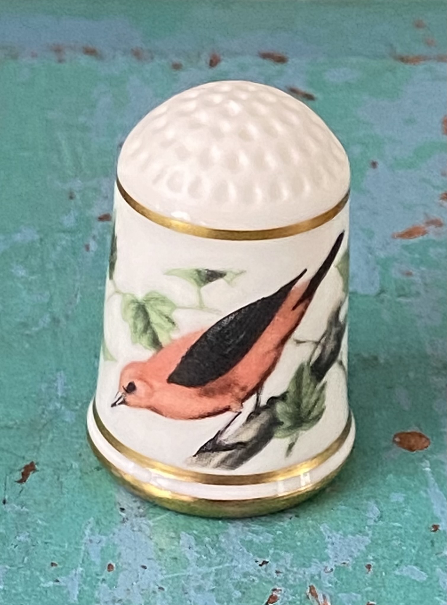 Franklin’s Gardenbirds vingerhoed