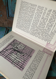 Moeder mag ik lezen?