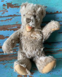 Steiff Zotty teddybeer