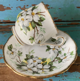 Royal Albert “White Dogwood”