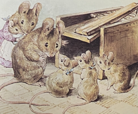 The Tale of Two Bad Mice