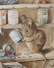 The Tale of Two Bad Mice