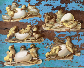 Poezieplaatjes “Kuikentjes”