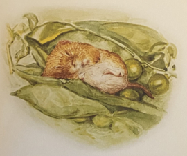The Tale of Johnny Town Mouse