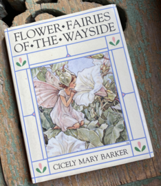 Flower Fairies of the Wayside