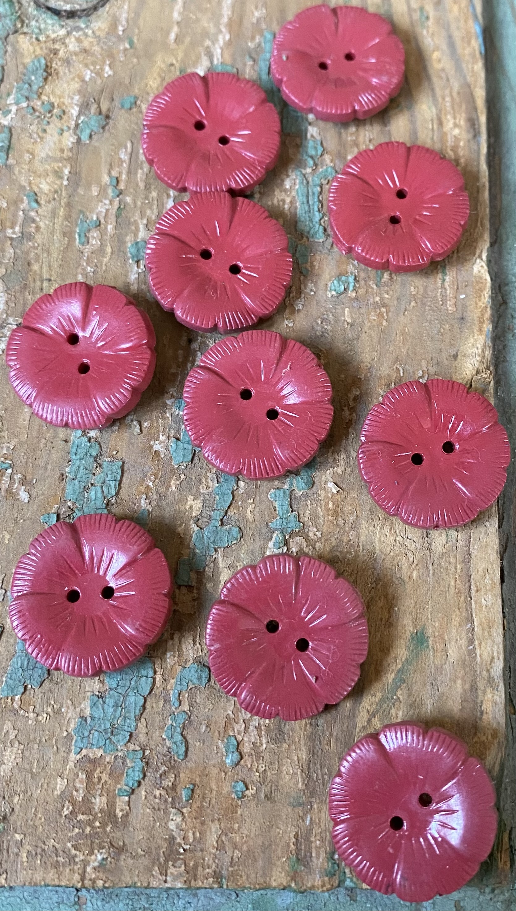 Roze-rode knopen