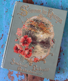 Stimmen des Herzens 1893