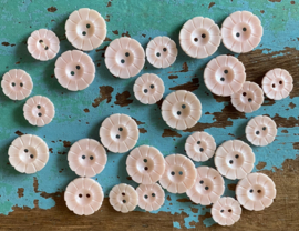 Zweedse roze knoopjes