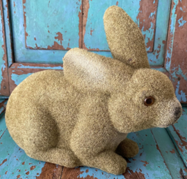 Grote liggende flock haas