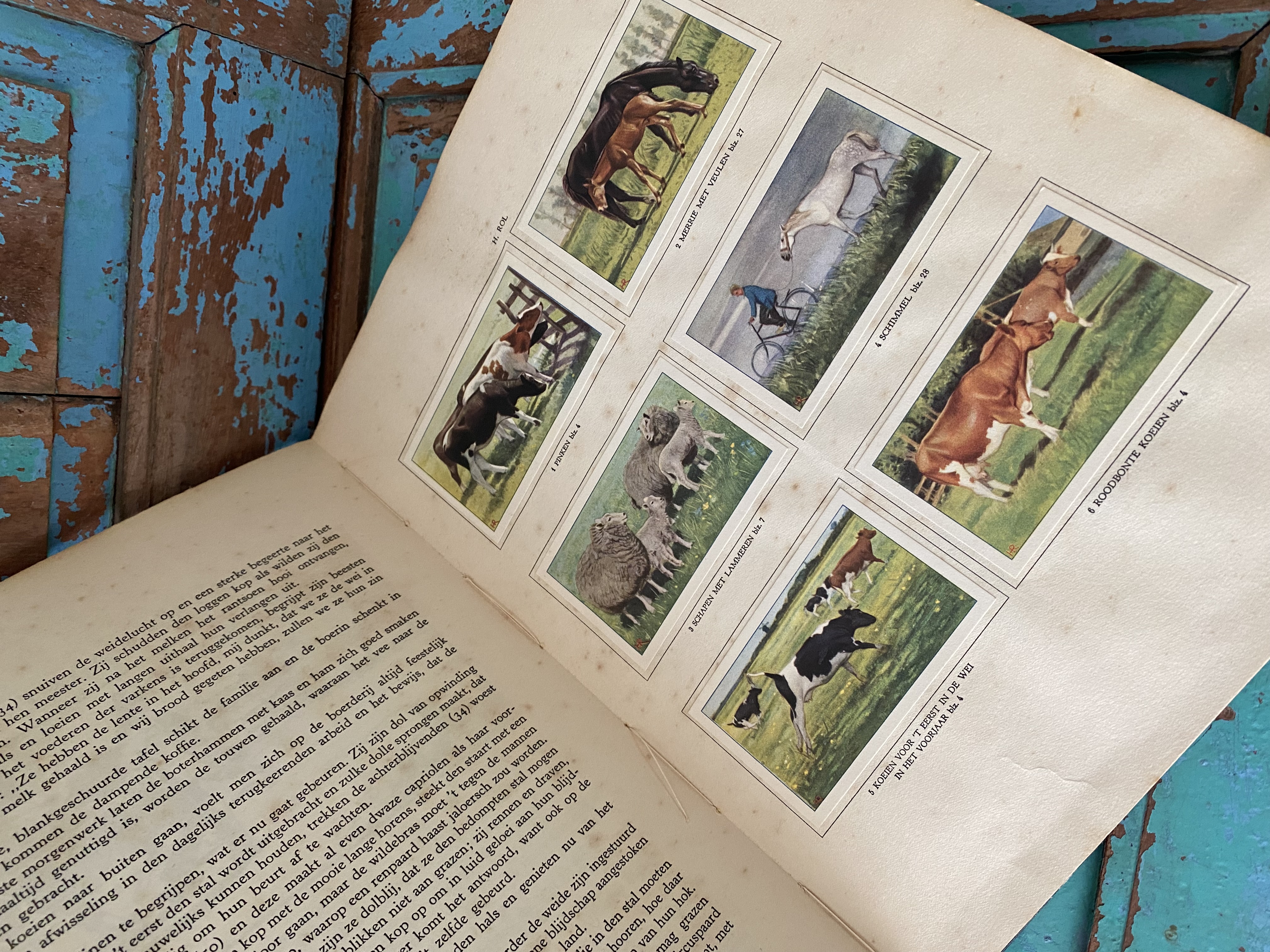Verkade boek “De Boerderij”