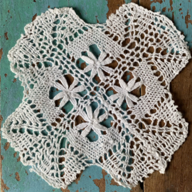 Kleine beauty  12x12cm