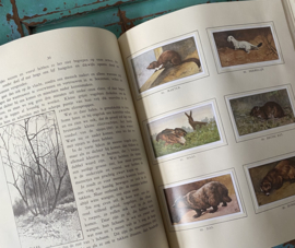 Verkade boek “Winter”