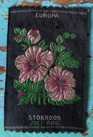 Kensitas applicatie stokroos