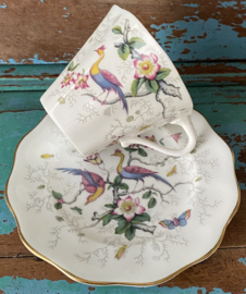 Coalport “Tulip Tree”