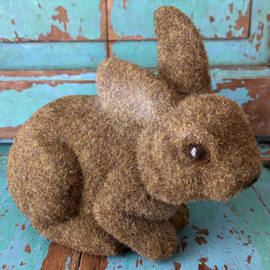 Liggend flock haasje