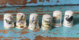 Engelse vogel vingerhoeden