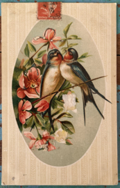 Vogeltjes