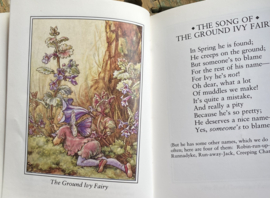 Flower Fairies of the Wayside