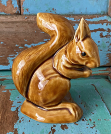 Eekhoorn
