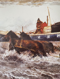 Het Brieschend Paard ~ Rien Poortvliet
