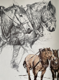 Het Brieschend Paard ~ Rien Poortvliet