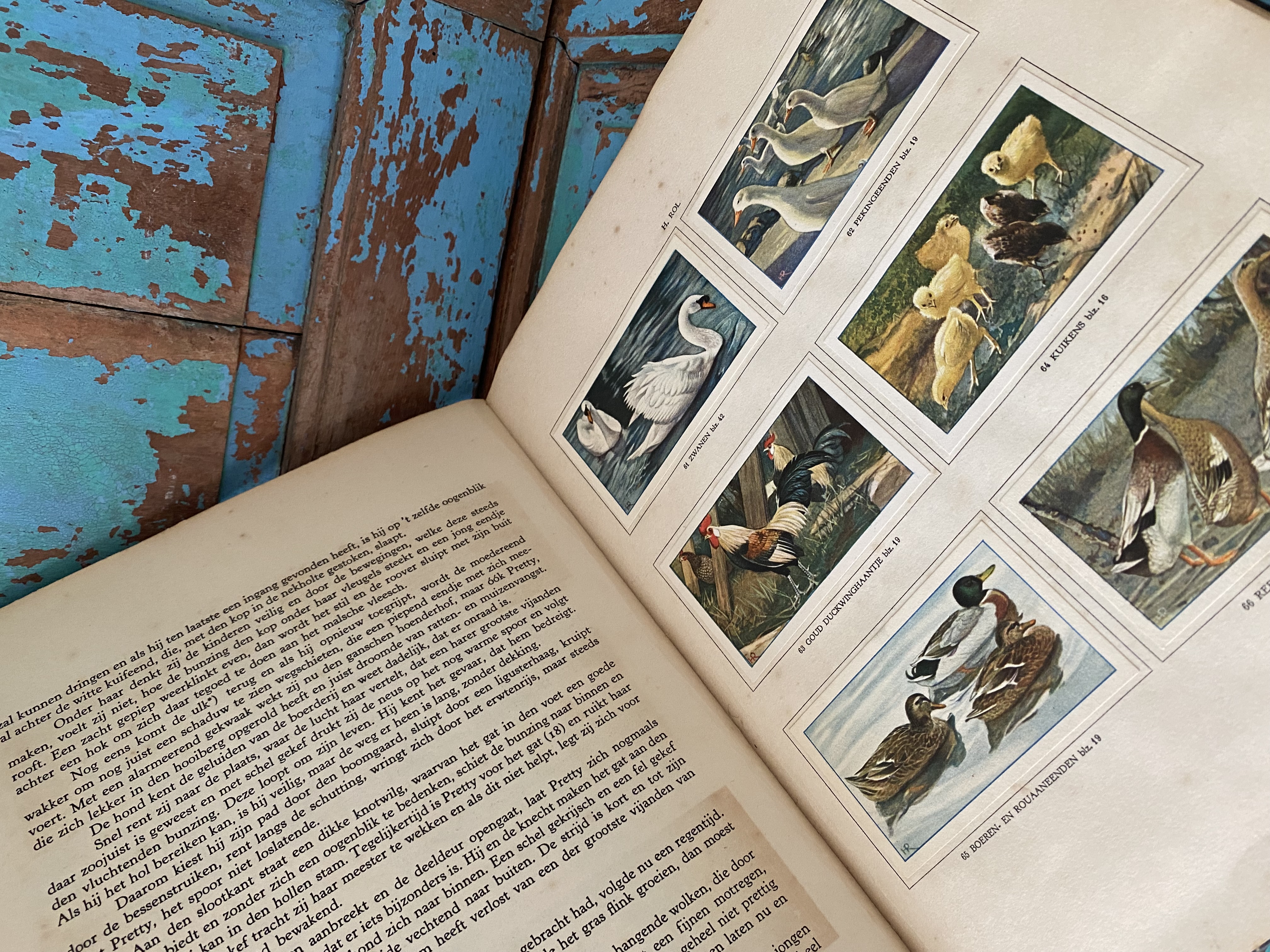 Verkade boek “De Boerderij”