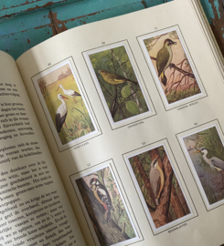 Verkade boek “Lente”