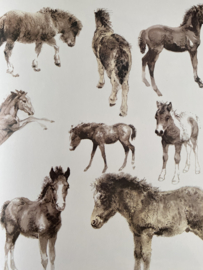 Het Brieschend Paard ~ Rien Poortvliet