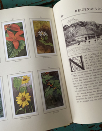 Verkade boek “Herfst”