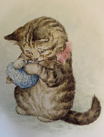 The story of Miss Moppet