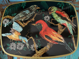 Groot blik met vogels