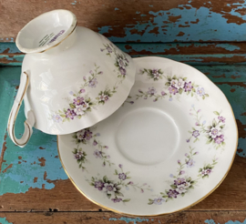 Elizabethan “Chantilly”