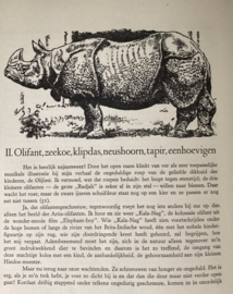 Apen en Hoefdieren in Artis
