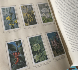 Verkade boek “Winter”