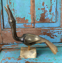 Hoornen vogel