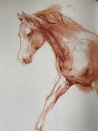 Het Brieschend Paard ~ Rien Poortvliet