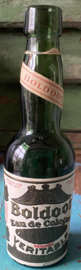 Oude Boldoot fles