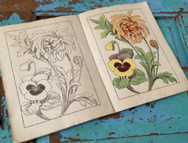 Oud Frans kleurboekje