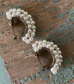 Vintage parel clips
