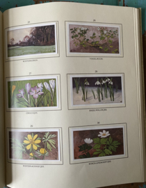 Verkade boek “Lente”