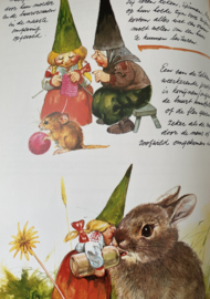 De Kabouter ~ Rien Poortvliet