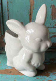 Konijn met paaseieren mand