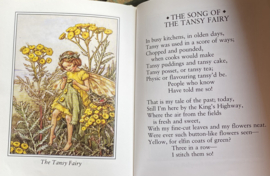 Flower Fairies of the Wayside