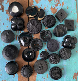 Black Beauty’s