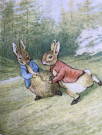 Vintage Beatrix Potter boekje